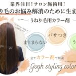 明るい白髪染めをゴッホカラーでやってみたら、ふんわりサラサラになった！