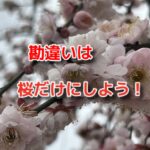 勘違いから決めつけると身体は治らない！骨膜整体で原因を探ろう。