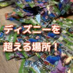 家族旅行最終日！まさかのディズニー超えの場所は？