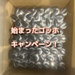 とうとう始まったゴッホキャンペーンが熱い！