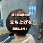 猫っ毛の最大の悩みは根元のボリュームは出ないのでバービートリートメント をつけよう