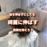 バービートリートメントでくせ毛を綺麗な髪質に変えた