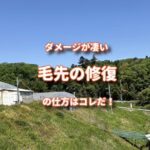 ダメージが行き過ぎたくせ毛の修復の仕方