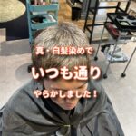 白髪だけに染めるカラーをやってイケメンに変えたのだが、いつも通りやらかした