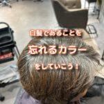 オシャレ染めでやる白髪染めで白髪であることを忘れてみよう