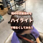 暗めの白髪染めにハイライトを入れて明るめカラーに仕上げてみた