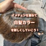 スッキリ刈り込みながらも白髪革命でイメチェンをする楽しさ