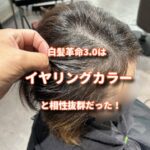 イヤリングカラーと白髪革命3.0の相性がめっちゃ良い感じになった！