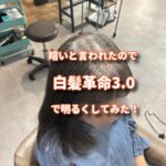 暗めの白髪染めをしていた民を白髪革命3.0でちょうどいい明るめカラーにしてみた