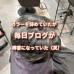 何回も見ているとやりたくなる透明感が出る新しい白髪染め
