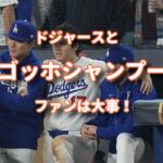 ドジャーズとゴッホシャンプーファン