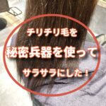 チリチリ毛をサラサラ毛に改善してみた
