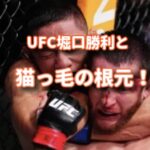 UFC堀口勝利と猫っ毛の根元